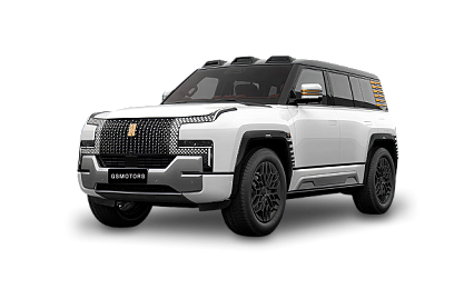 YangWang U8
